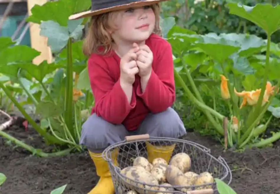 Let’s Do Garden : Jardineria y Botanica