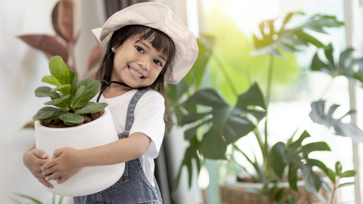 Plantas Fáciles de Cuidar para Regalar a una Niña en su Cumpleaños con Niños en Fiesta