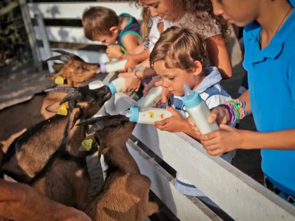 Parque La Coccinelle | Animales y Atracciones para Niños en Gujan-Mestras (33) Francia - Imagen 3